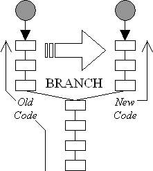 Branch