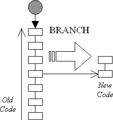 Branch for Patches