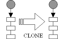 Clone